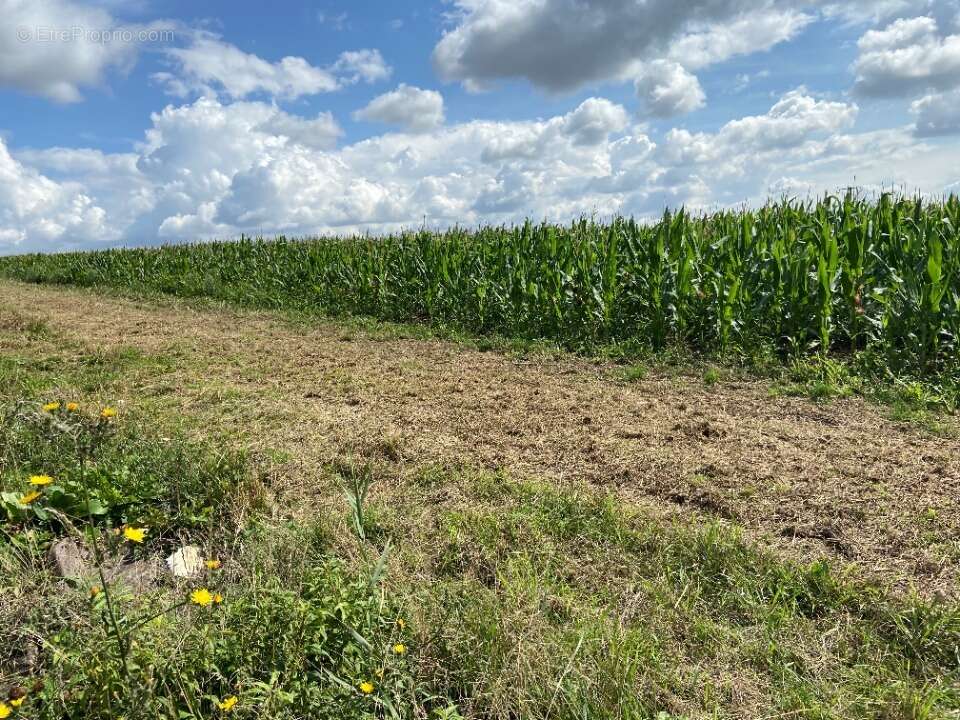 Terrain à ATHIES