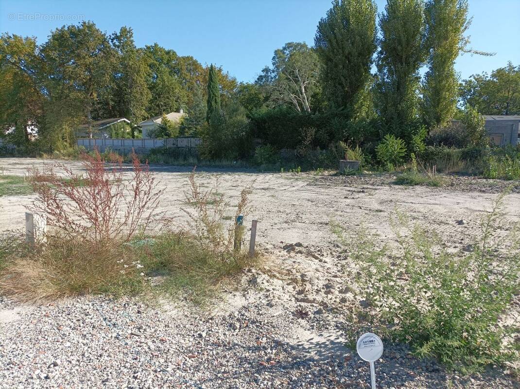 Terrain à BELIN-BELIET