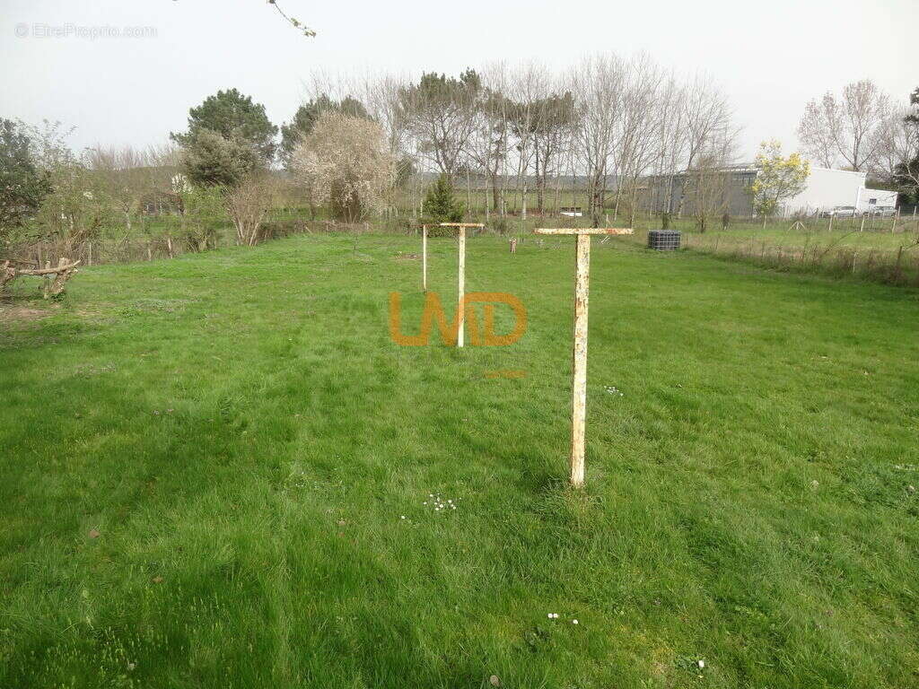 Maison à SAINT-MEDARD-DE-MUSSIDAN