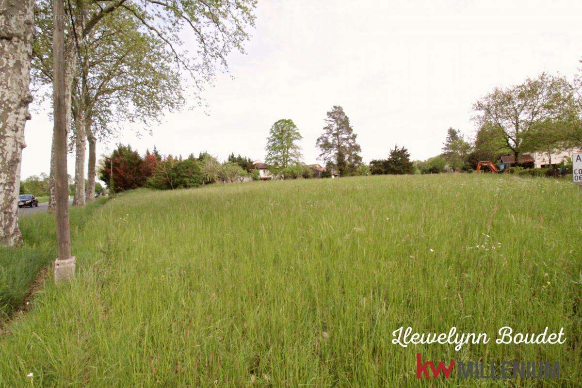 Terrain à BRIATEXTE