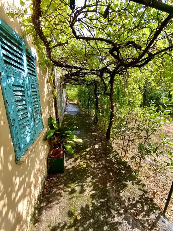 Centre village - photo 20