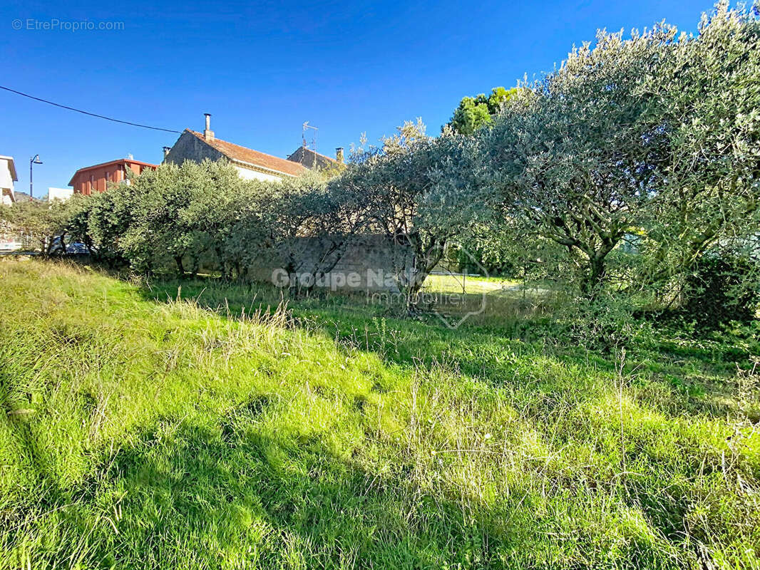 Terrain à CHEVAL-BLANC