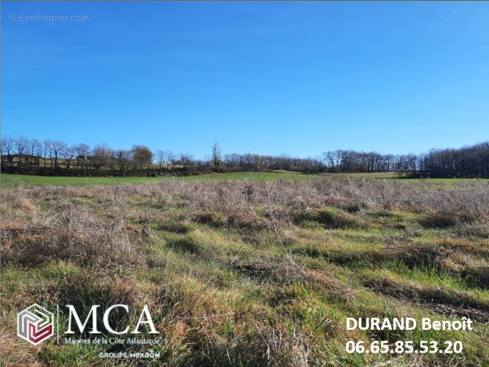Terrain à SAINT-JEAN-DE-DURAS