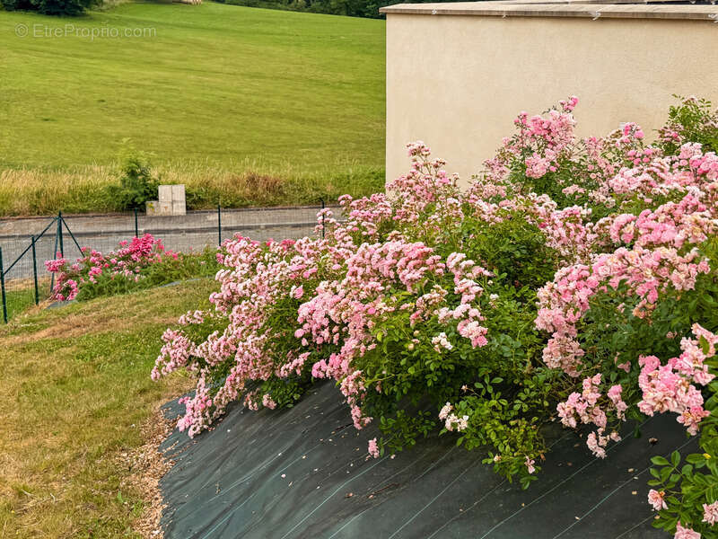 Maison à vendre 4 pièces - AIGNAN (32) - 88 m2 de surface habitable - terrain de 958 m2 - photo 18
