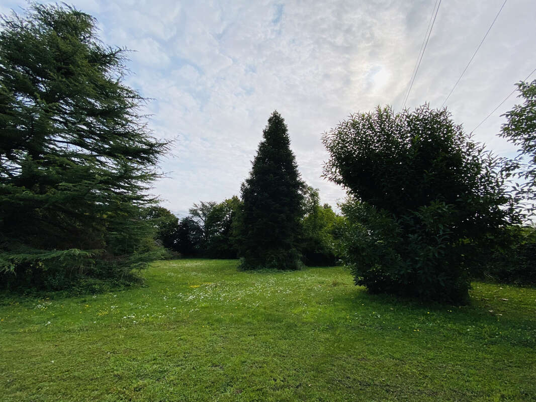 Terrain à VILLEBLEVIN