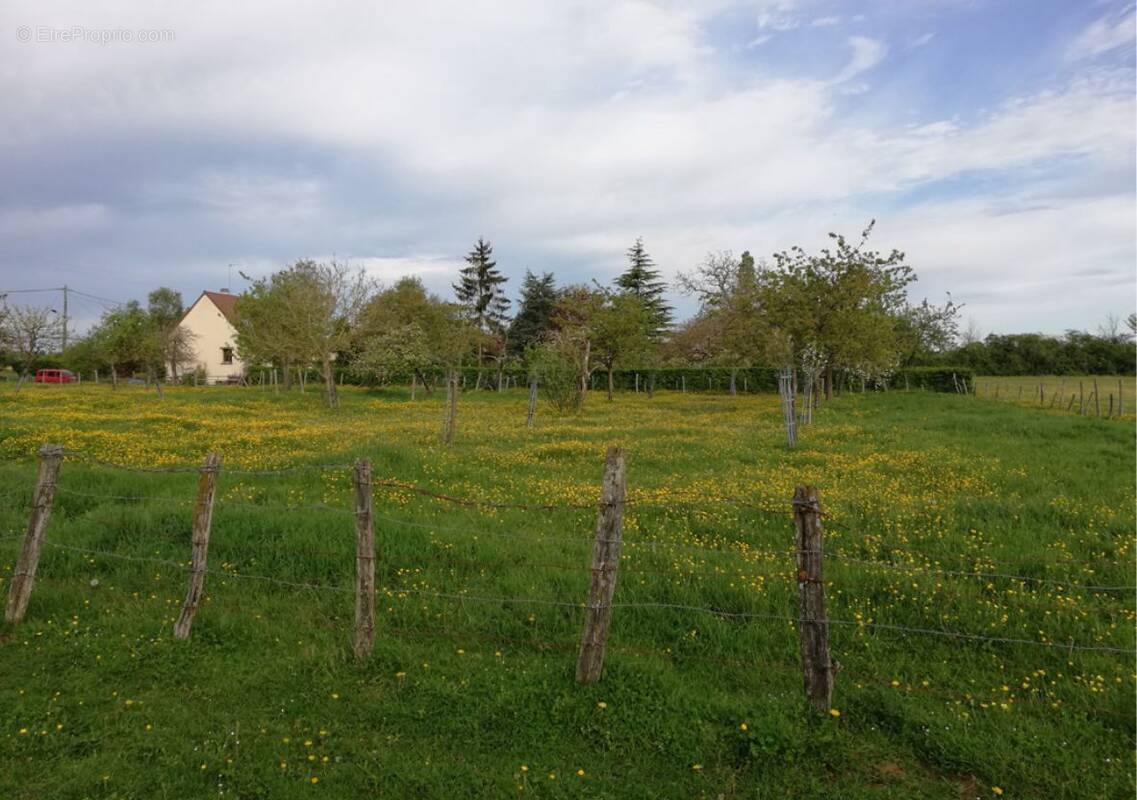 Terrain à SAINT-PATERNE