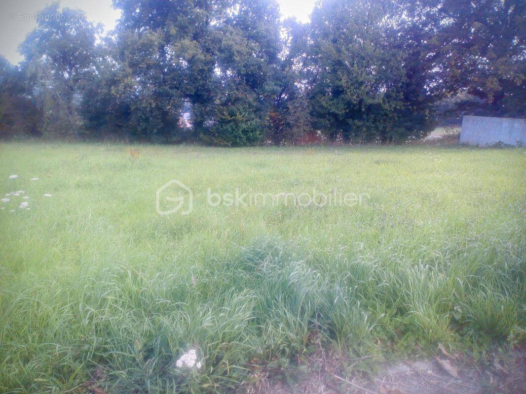 Terrain à MARTIGNE-FERCHAUD