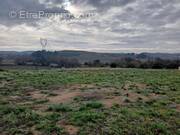 Terrain à SAINT-BRES