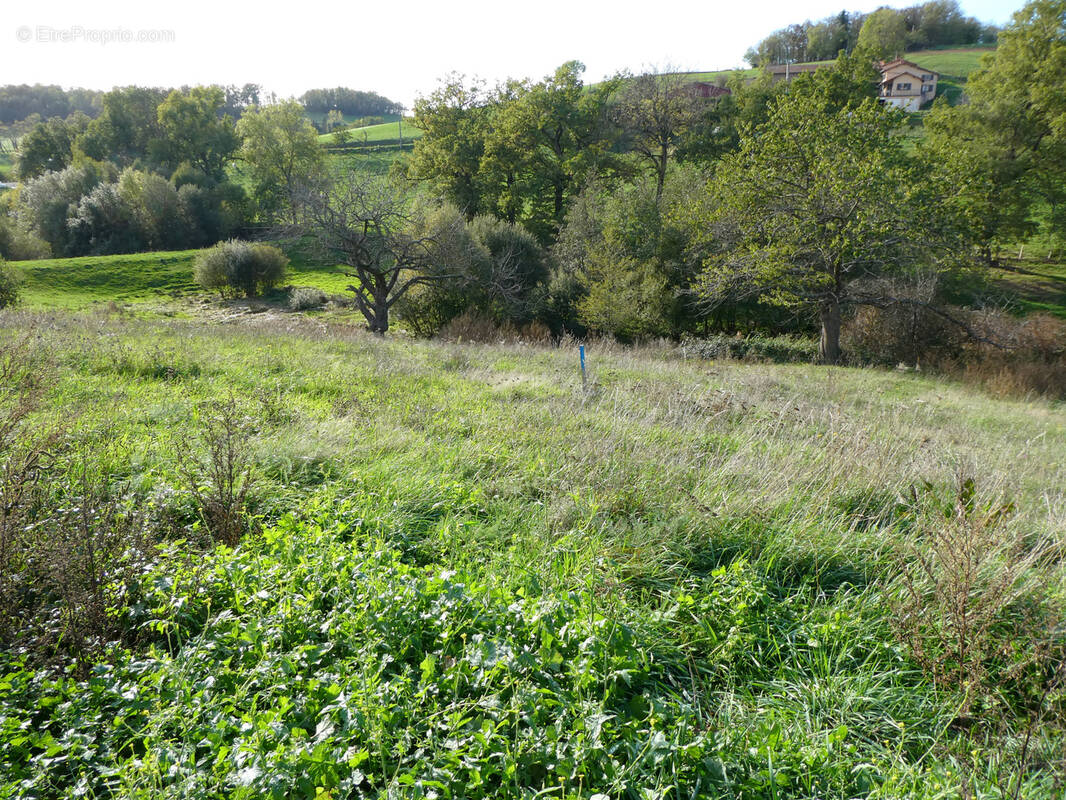 Parcelle à bâtir de 751 m2 à st laurent de chamousset - photo 1