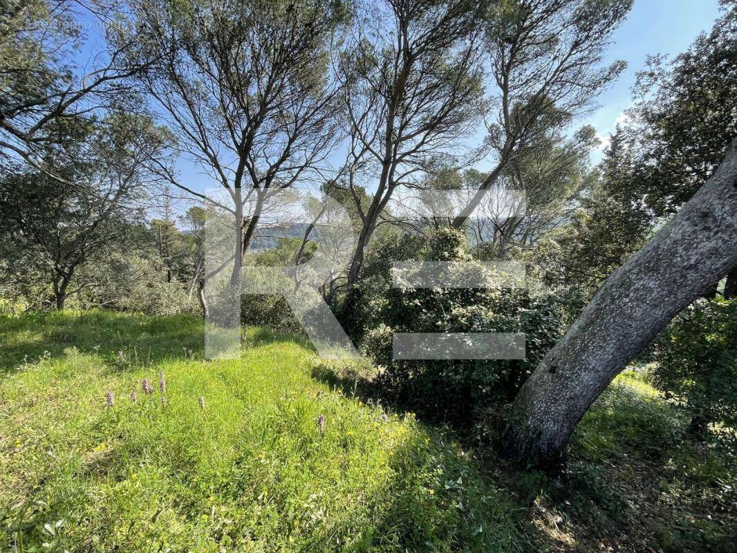 Terrain à BAGNOLS-SUR-CEZE