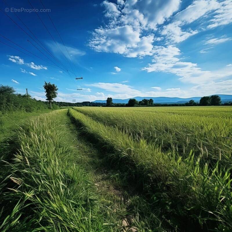 Terrain à MOUILLERON-LE-CAPTIF