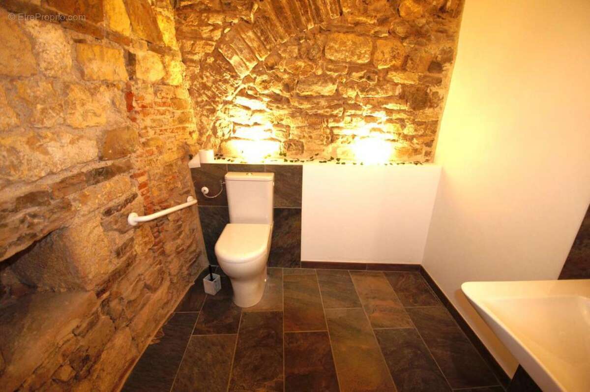 Maison 600 m² à Cordes-Sur-Ciel  - photo 4