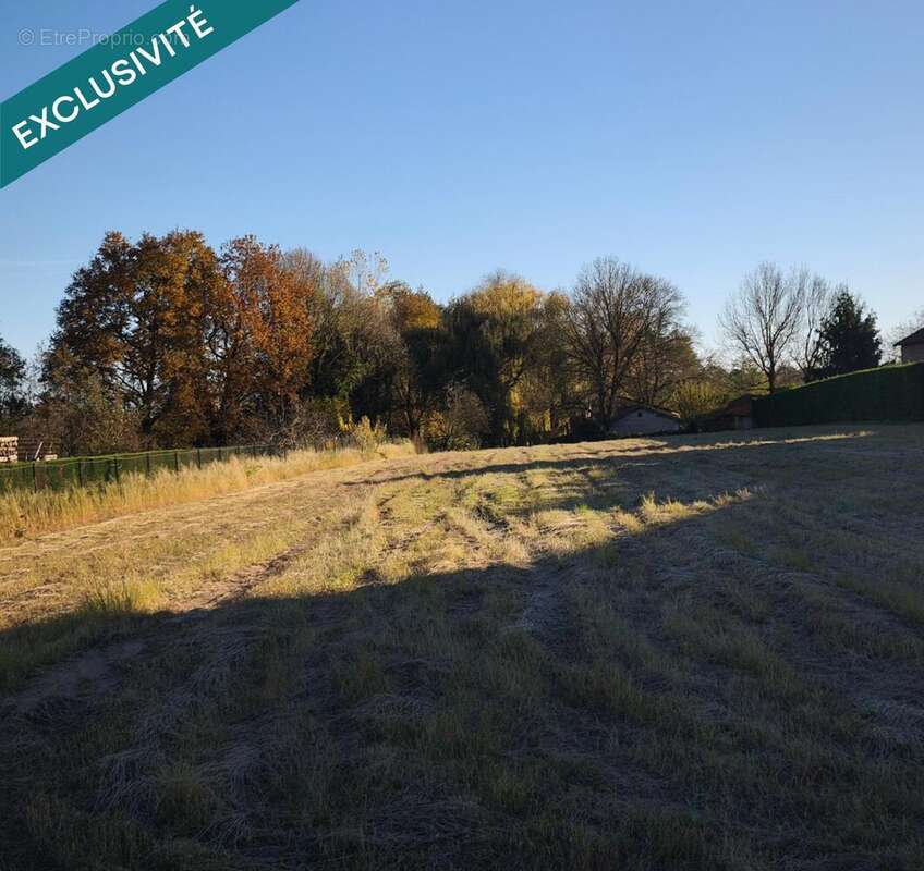 Photo 2 - Terrain à MANZIAT