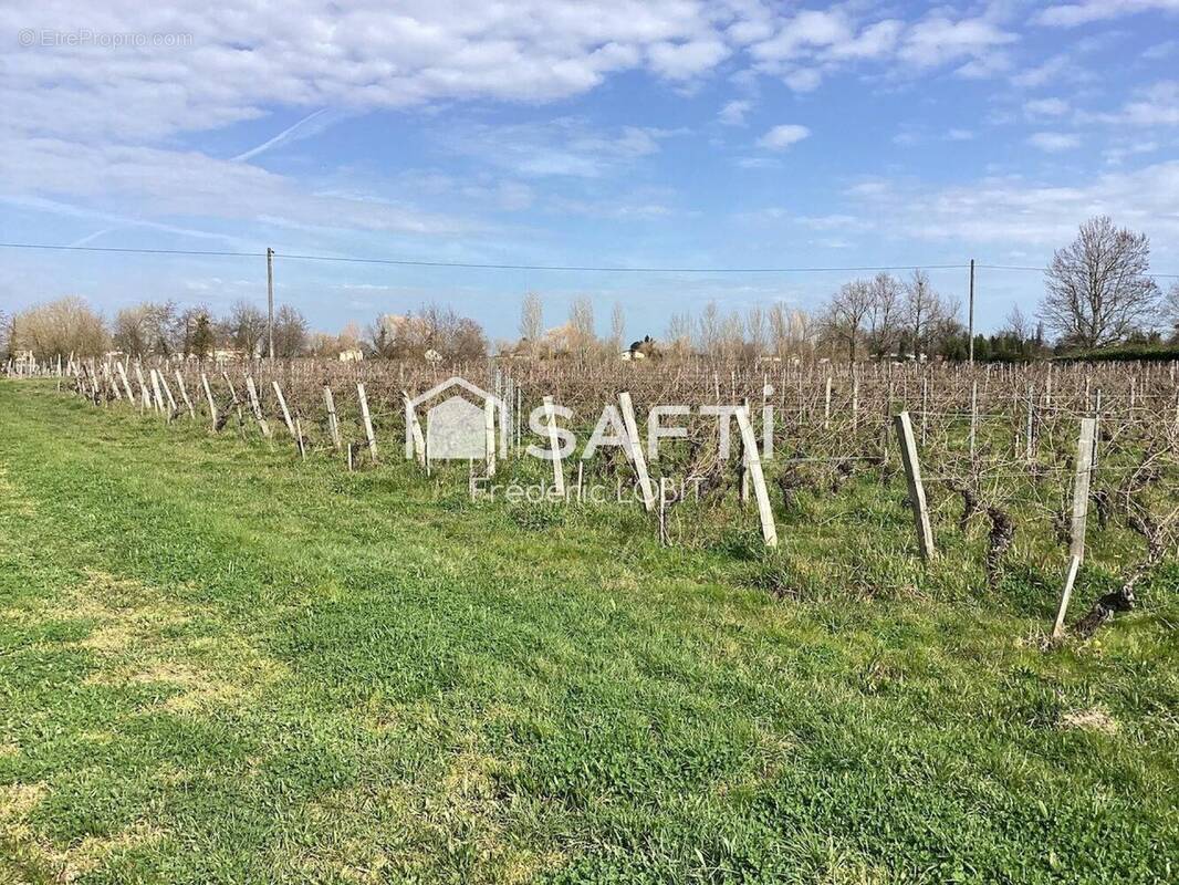 Photo 1 - Terrain à SAINT-EMILION
