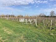 Photo 1 - Terrain à SAINT-EMILION