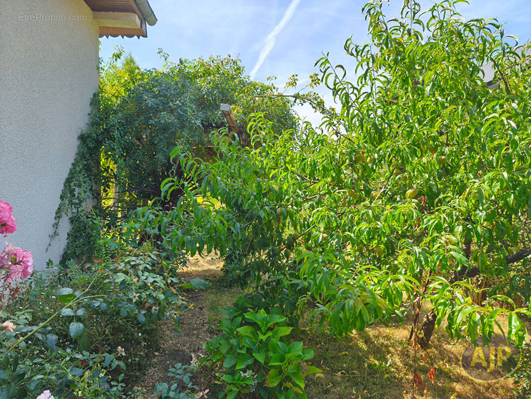 Maison à PACE