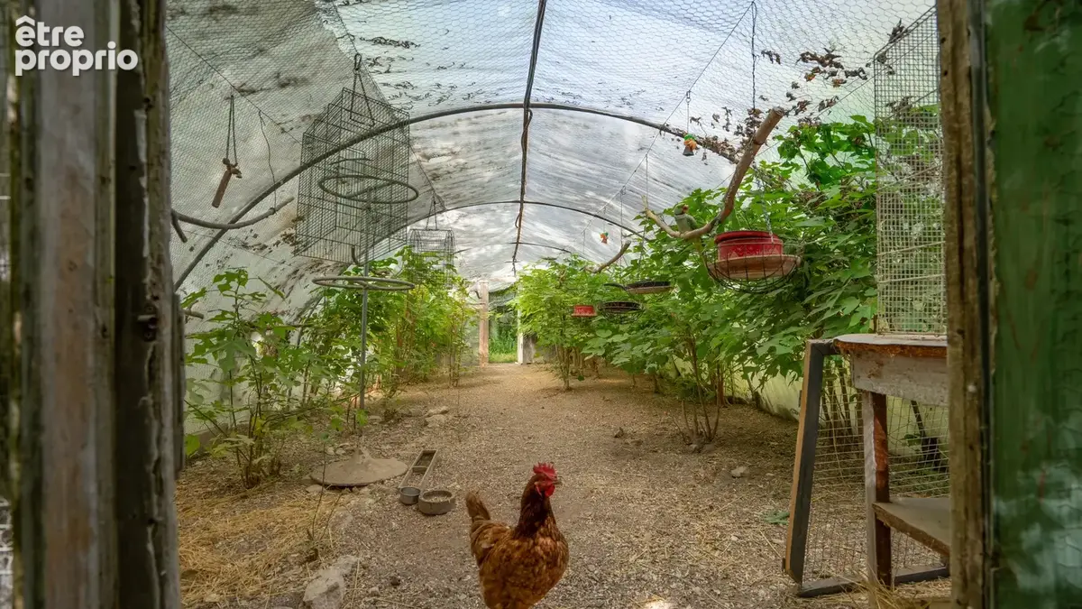 Propriété équestre de caractère avec 5 hectares, piscine couverte et dépendances - photo 30