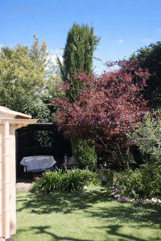 Maison à MARSEILLE-11E