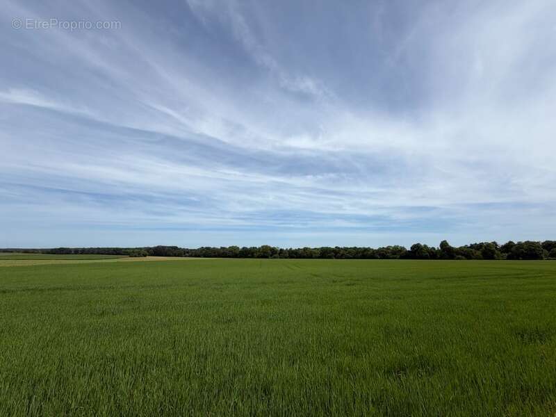 Terrain à ARCEAU