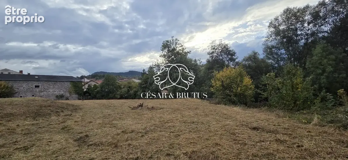 Terrain 1 958 m² à vendre à Rosieres (43800) - photo 6