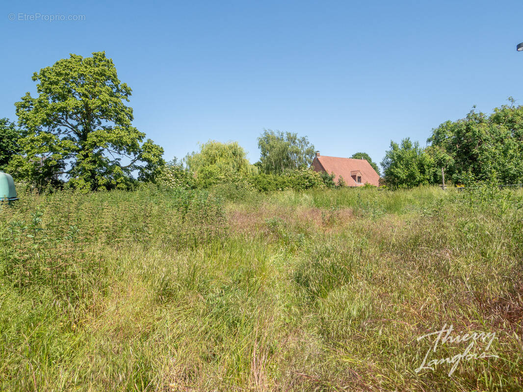 Terrain à VILLENEUVE-D'ASCQ