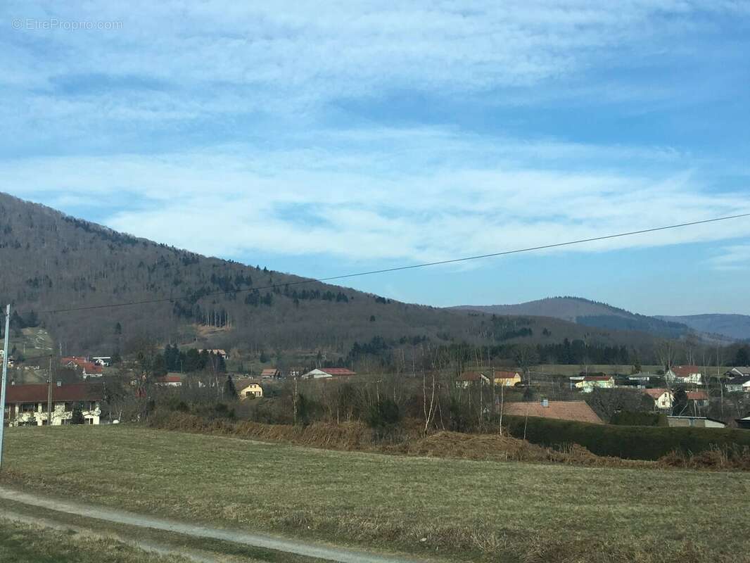 Parcelles de terrrains - photo 2