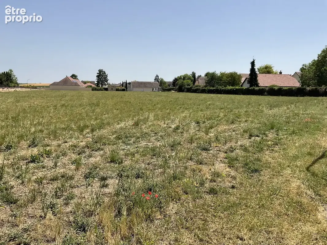 Terrain 9 517 m² à vendre à Torvilliers (10440) - photo 5