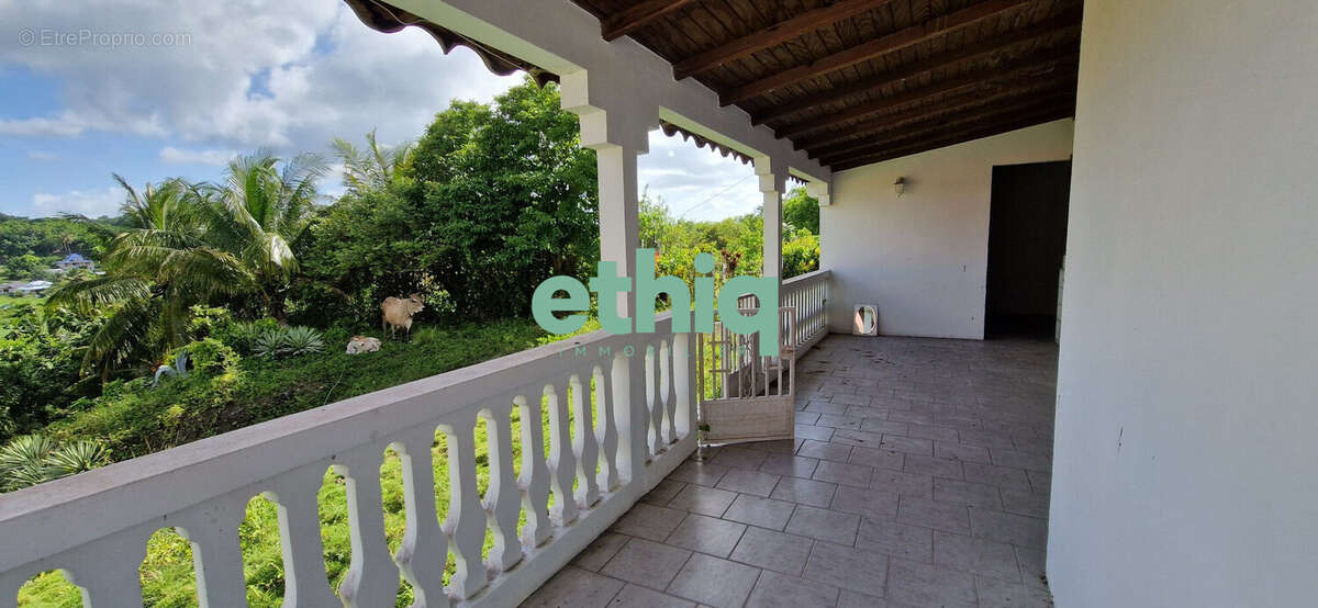 Terrasse avant - Maison à MORNE-A-L&#039;EAU