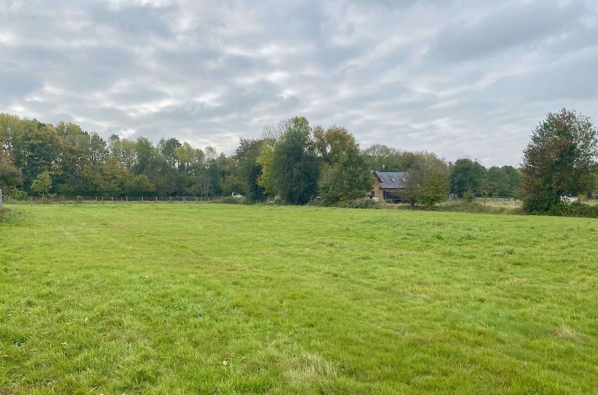 Terrain à BEUZEVILLE