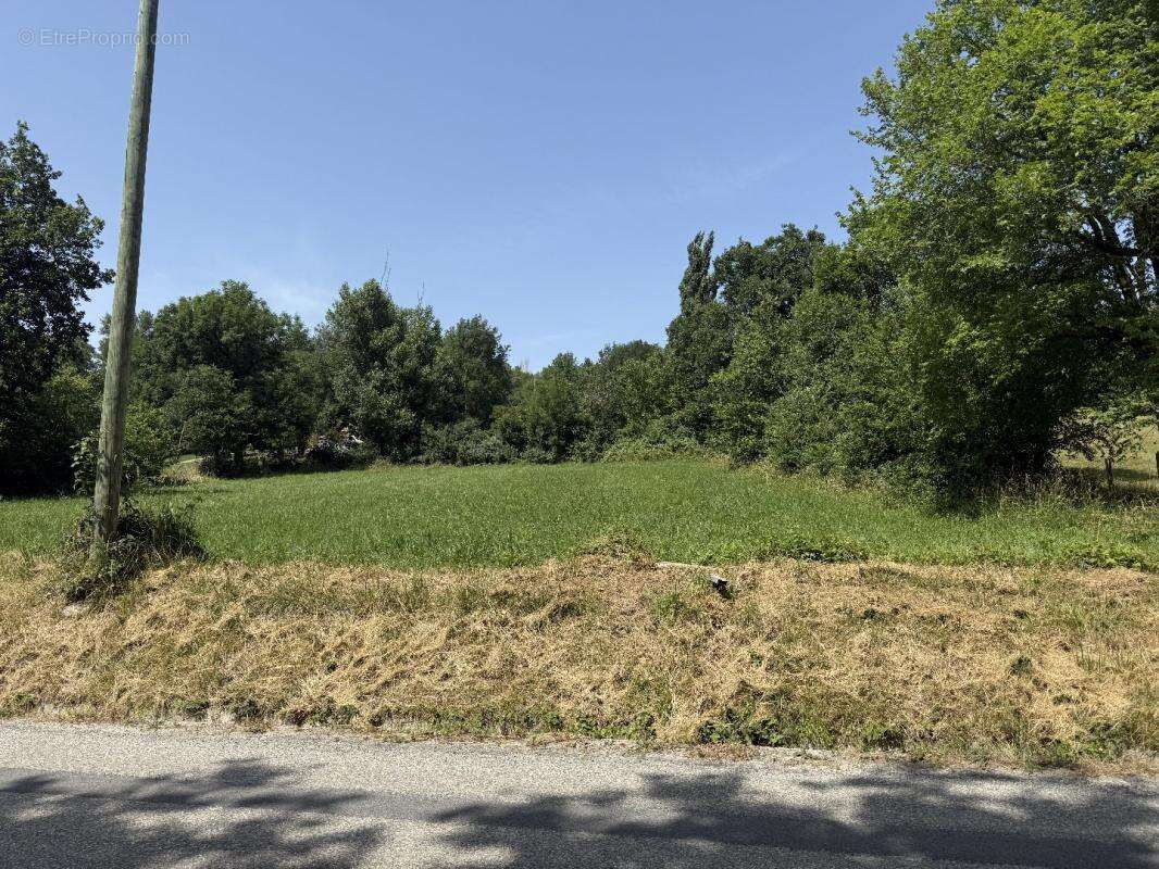 Terrain à LABECEDE-LAURAGAIS