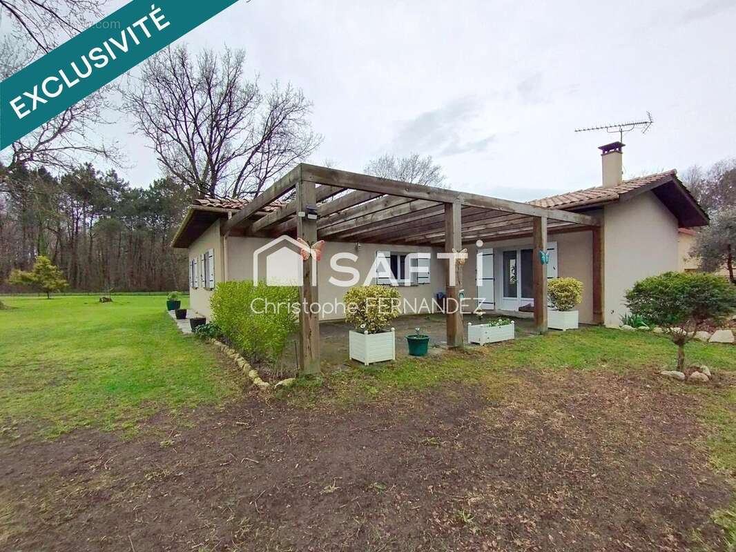 Photo 4 - Maison à BLAYE