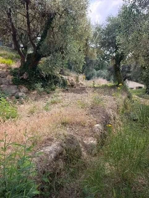 Terrain à COARAZE