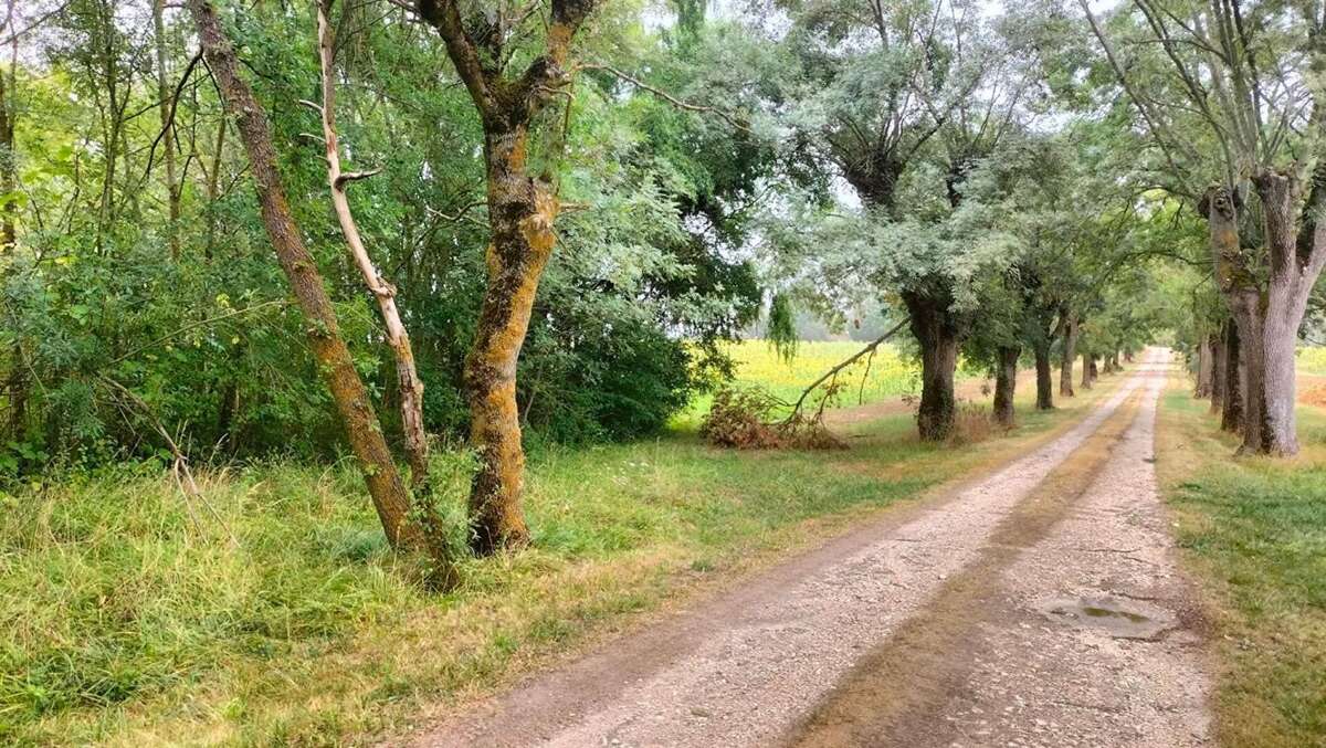 Terres agricoles 40 Ha (32120 ) Puycasquier - photo 5