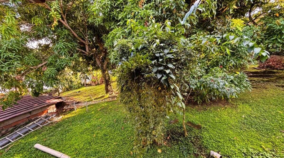 Photo 9 - Maison à FORT-DE-FRANCE