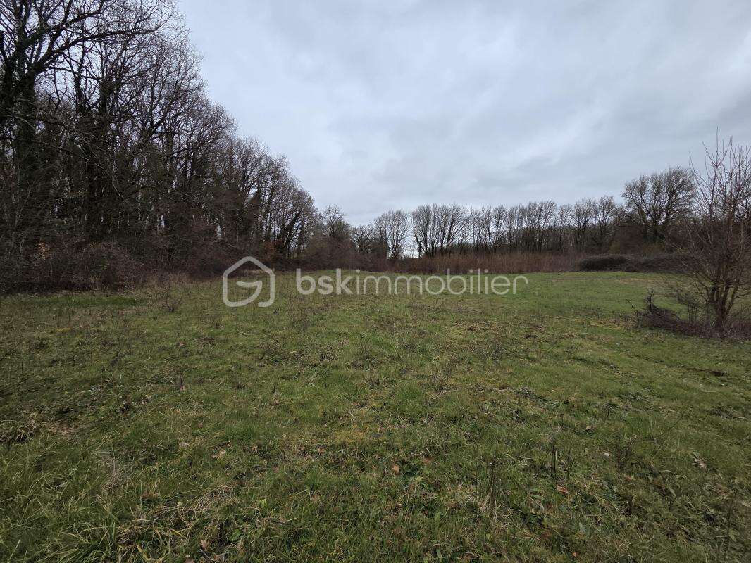 Terrain à BLANZAY