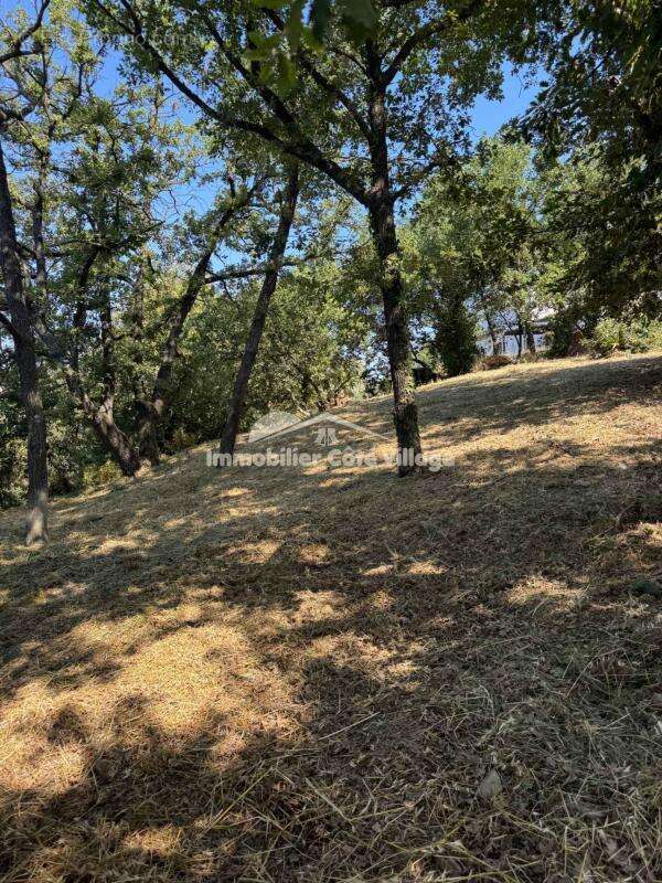 À Vendre   Terrain constructible de 2023 m2 à Contes, Quarti - photo 3