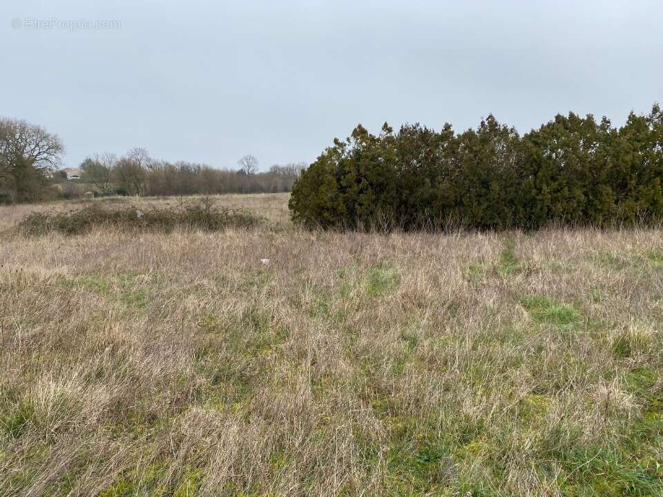 Terrain à PONT-L'ABBE-D'ARNOULT