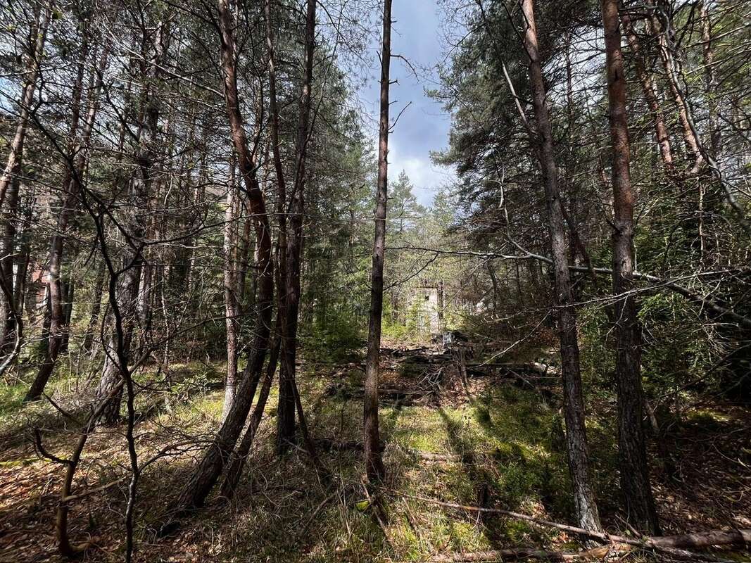 Terrain à SAINT-SAUVEUR-CAMPRIEU