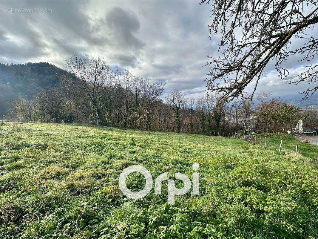 Terrain à LA COMBE-DE-LANCEY