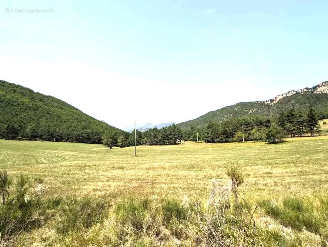 Propriété 2 maisons - Terrain 55330 m² - photo 4