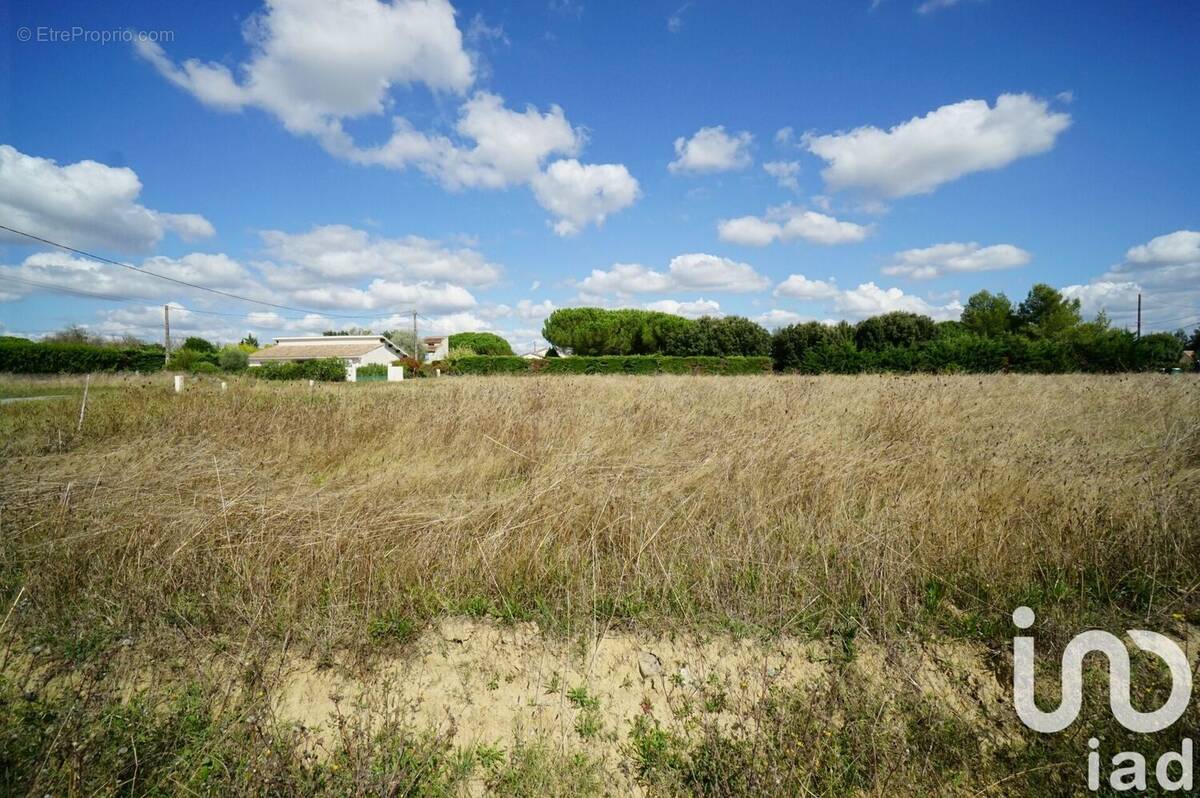 Photo 1 - Terrain à LARRA