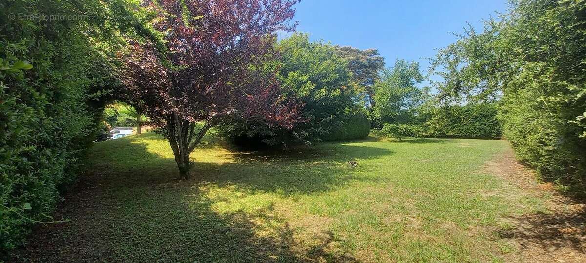 Photo 3 - Maison à ALBINE