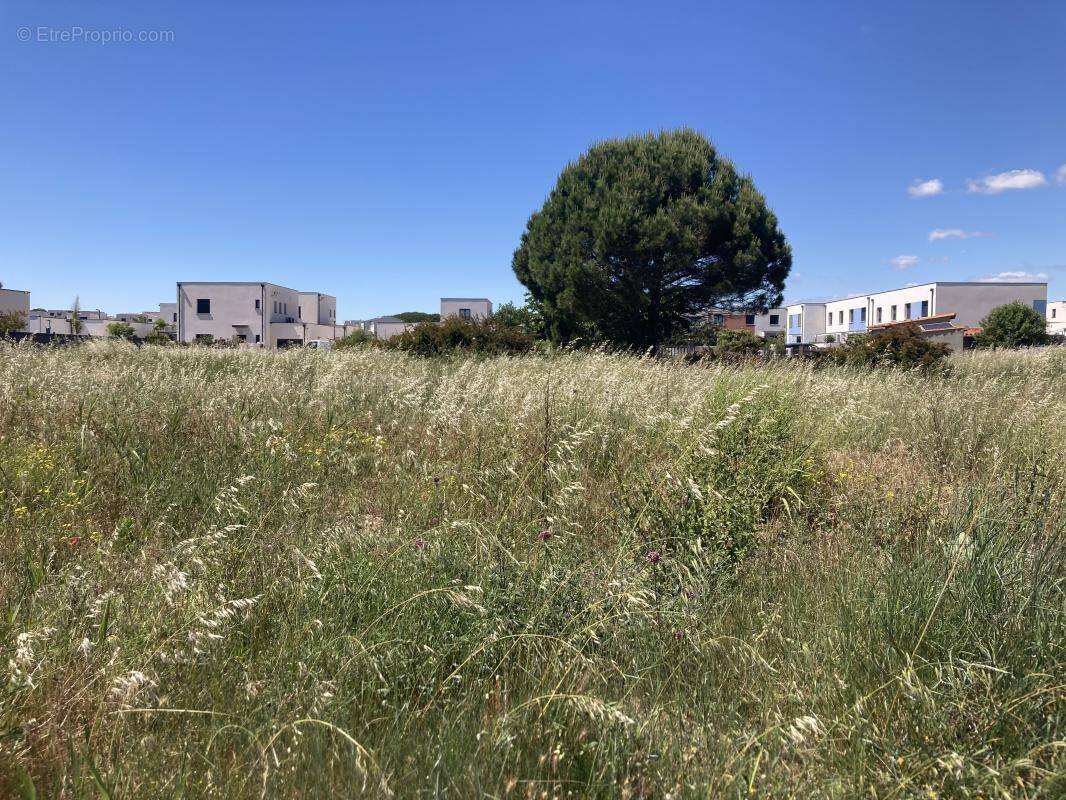 Terrain à SERIGNAN