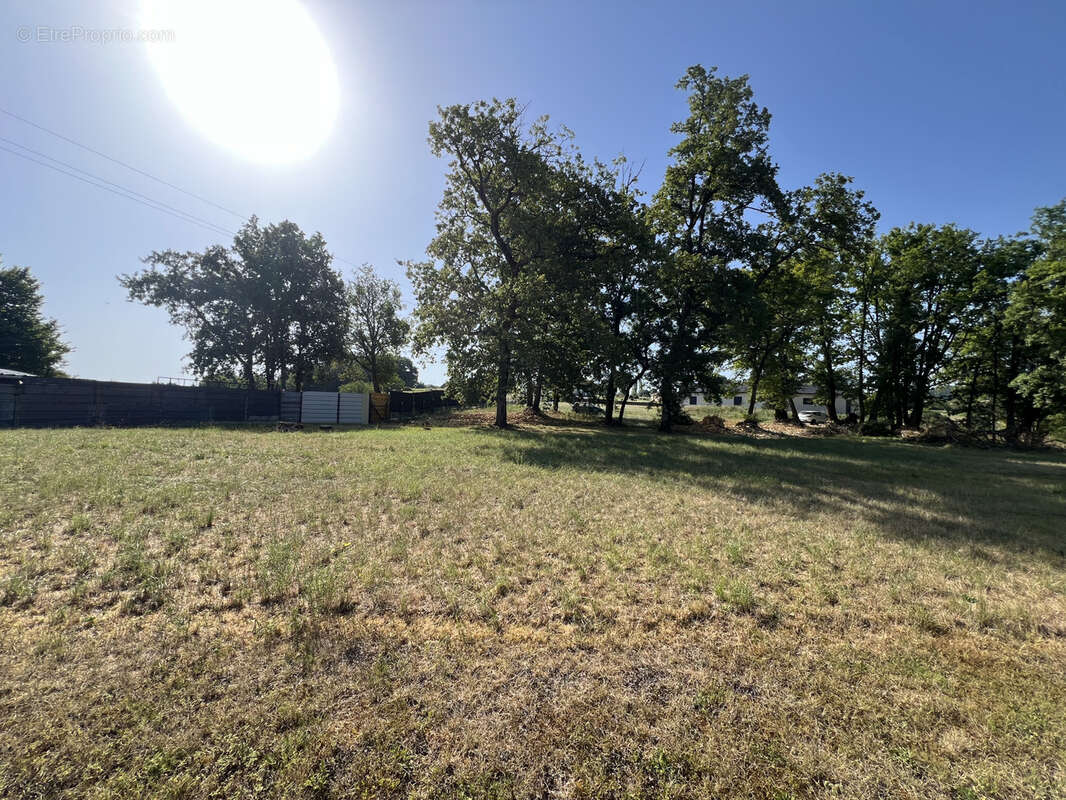 Terrain Constructible 1583 m2 - photo 5