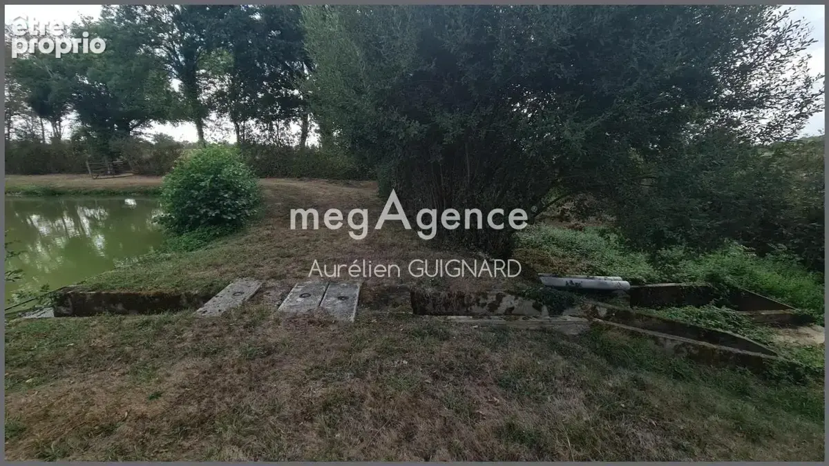 Plan d'eau clos et arboré, cabane de pêche - photo 12