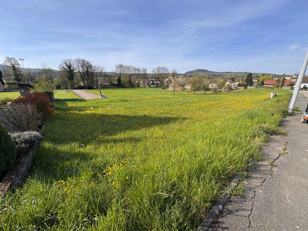 Terrain à RAEDERSDORF