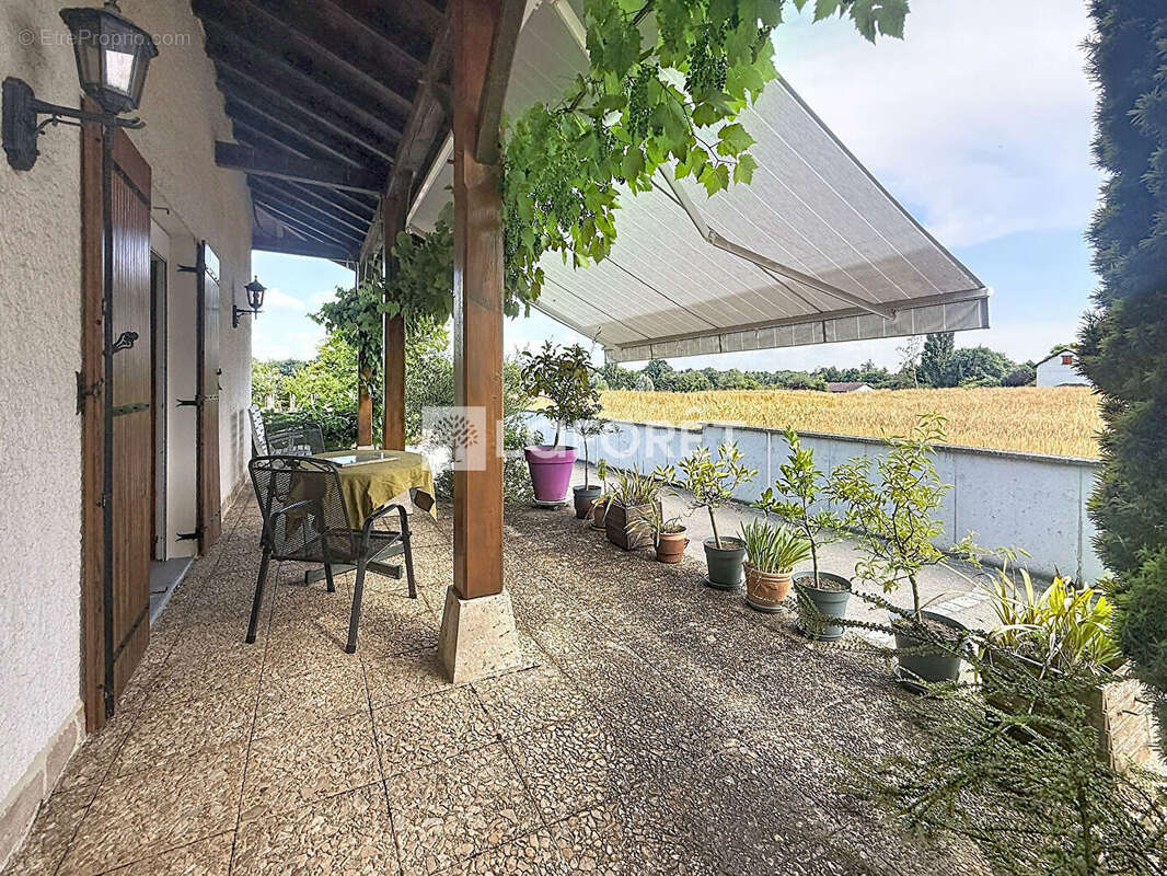Maison à MARBOZ