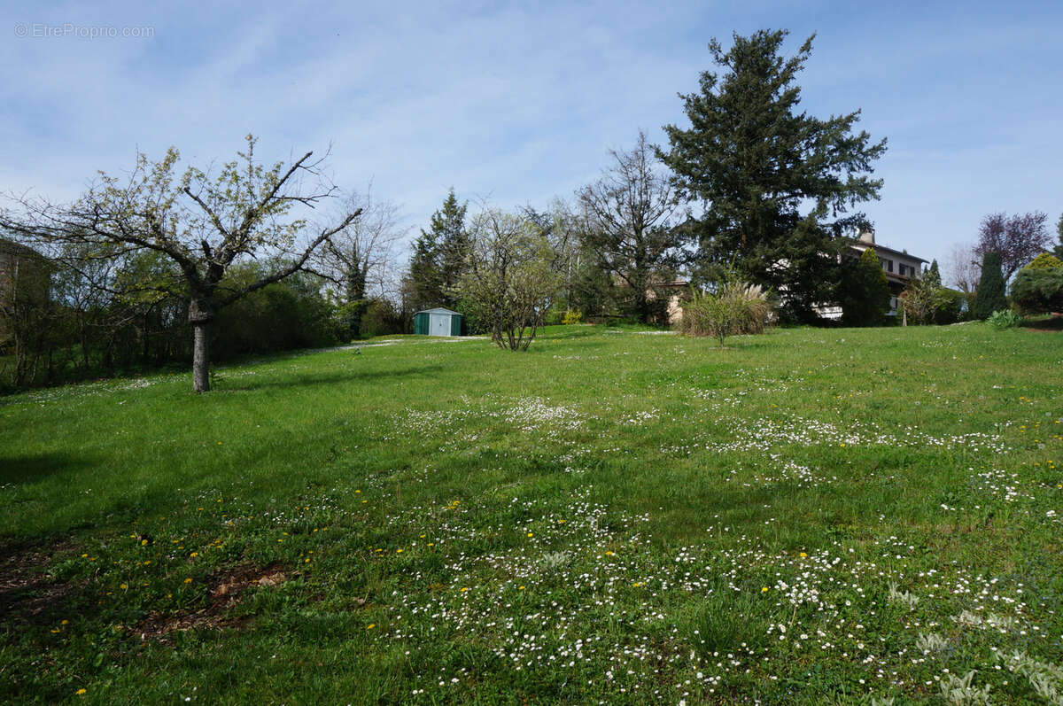 Terrain à L&#039;ARBRESLE