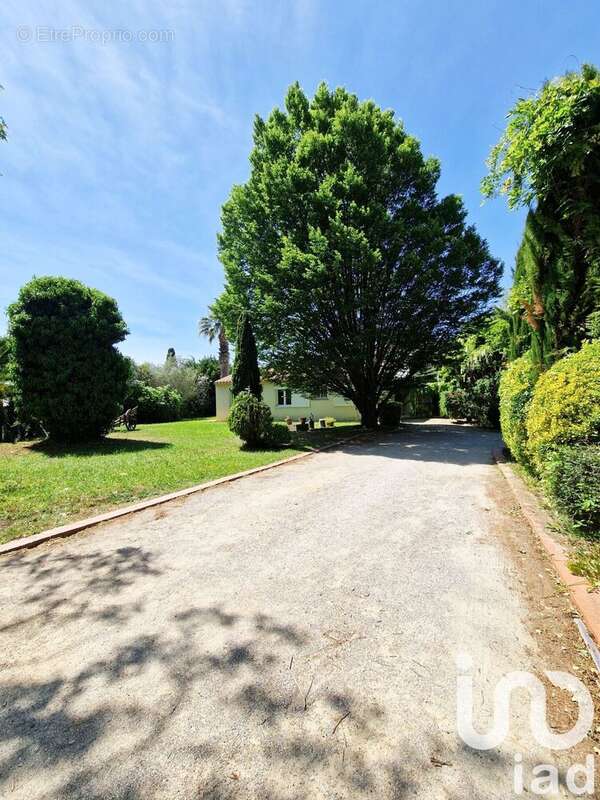 Photo 4 - Maison à TORREILLES