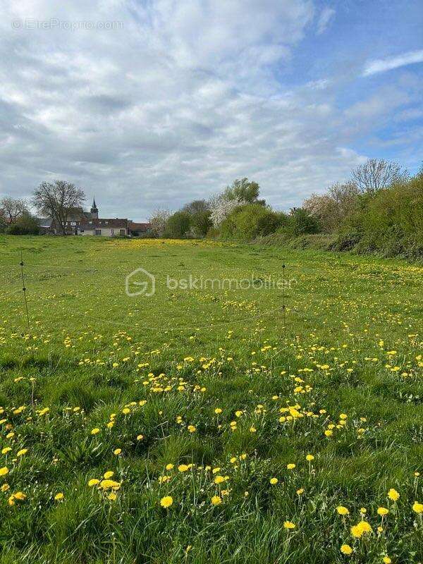 Terrain à AILLY-SUR-NOYE